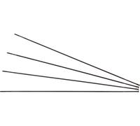 Fulcrum Radios de repuesto Racing 3 a partir del modelo 2013 negro rueda trasera izq.