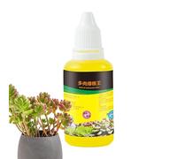 Fulenyi Fertilizante para suculentas, cactus y plantas de interior, Potenciador del crecimiento de raíces suculentas de 50 ml