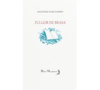 Fulgor de brasa: La poesía y poética de Antonio Carvajal (MIRTO ACADEMIA)