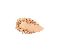 Full Coverage Blurring Powder Foundation 20