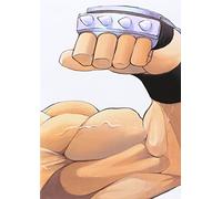FULLMETAL ALCHEMIST KANZENBAN 10