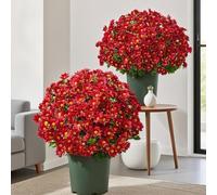 Fun Decor Mums, Artificial Sunset Mums, Artificial Outdoor SunsetMums Flowers - UV Resistant, Waterproof, Fake Fall Flower Daisy With Eucalyptus, Bright & Full Like Real Thing (5 bundle Scarlet)