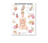 Función anatómica ojo humano gráfico arte cartel impresión cuerpo mapa lienzo pintura pared cuadros for educación médica decoración del hogar(31,30x40cm No frame)