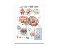 Función anatómica ojo humano gráfico arte cartel impresión cuerpo mapa lienzo pintura pared cuadros for educación médica decoración del hogar(32,30x45cm No frame)