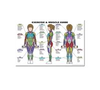 Función anatómica ojo humano gráfico arte cartel impresión cuerpo mapa lienzo pintura pared cuadros for educación médica decoración del hogar(60,20x30cm No frame)