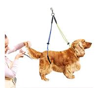 FunciónRepare a su Mascota y Brinde un Tratamiento de Belleza para Evitar Que Corra. El Cómodo Collar de Algodón de Espuma Protege a su Mascota y Previene (Amarillo Azul)