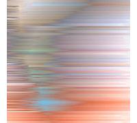 Function - Awakening From The Illusory Self [Vinilo]