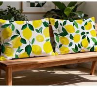 Funda Almohada 80x100cm Cojines Sofa Amarillo Cojin Sofa Limón,2026 Nuevo Rectangular Juego de 2 Fundas de Cojín con Cremallera Oculta,Terciopelo Protector Almohada para Decorativas Hogar Sala O-728O