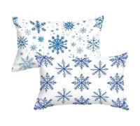Funda Almohada Azul Fundas para Cojines Beige Cojines Sofa Funda de Almohada 50x80cm Cushion Covers Terciopelo con Cremallera Oculta Suave y Cómoda Adecuado para Uso Diario C0C939