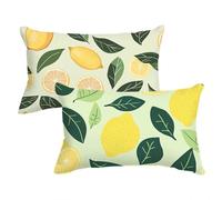 Funda Almohada Color Naranja Fundas para Cojines Turquesa Cojines Sofa Funda de Almohada 50x80cm Cushion Covers Terciopelo con Cremallera Oculta Adecuado para Uso Diario C0C856