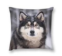 Funda Almohada Malamute De Alaska Decorativo Funda Protectora Sin Arrugas Fundas Cojín para Sala Exterior Sofá 45X45Cm