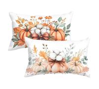 Funda Almohada Naranja Quemado Fundas para Cojines Calabaza Cojines Sofa Funda de Almohada 50x80cm Cushion Covers Terciopelo con Cremallera Oculta Adecuado para Uso Diario C0C997