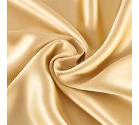 Funda Almohada Seda Funda de Almohada Oxford, 1 Pieza, 25 mm, un Lado, Seda Morera, Funda Individual, Muchos Colores Funda Almohada Saten(Champagne,51x76cm)