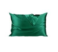 Funda Almohada Seda Funda de Almohada Seda Morera Natural Pura con Cremallera Oculta 19 Momme Funda Almohada Saten(Green,Japan 50x70cm)