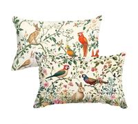 Funda Almohada Turquesa Fundas para Cojines Animal Cojines Sofa Funda de Almohada 50x70cm Cushion Covers Terciopelo con Cremallera Oculta Lavable Adecuado para Uso Diario C0C842