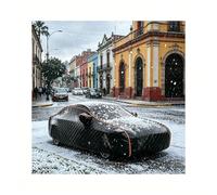Funda Coche Antigranizo para Toyota Paseo,Diseño Ligero fácil de Guardar, Resistente al Granizo y Desgaste. Protege la Pintura Solar evitando su decoloración