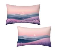 Funda Cojin 30x50 cm Lila Fundas Cojines Sofa Idílico Juego de 2, Rectangular Terciopelo Fundas de Cojines con Cremallera Oculta Suave y Transpirables Sofa Decorativa Regalos para Mujer Home Decor G-0