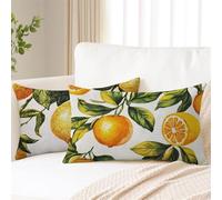 Funda Cojin 30x50 cm Limón Fundas Cojines Planta Funda Almohada Juego De 2 Lino Rectángulo Cojines Exterior con Cremallera Invisible, Decorativos Jardín Sala de Estar Sofá Dormitorio Oficina 2s-451