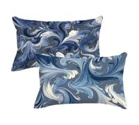 Funda Cojin 30x50 Juego de 2, Azul Funda Almohada PatróN Patrón con Cremallera Invisible Diseño, Rectangular Fundas Almohadas 30x50cm Pack 2, Doble Cara Estampado Terciopelo Cojines Sofa Decor,Model41
