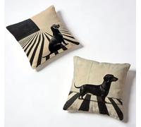 Funda Cojín 40 x 40 Juego de 2 En White Y Negro, Funda De Almohada 40x40 cm Cojine Exterio Perro Decoracion Cojines Sofa Lino con Cremallera Oculta para Primavera Verano Decorativos, Regalos 6-0RE13B