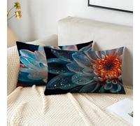 Funda Cojin 40x60 cm Negro Fundas Cojines Azul claro Funda Almohada Juego De 2 Terciopelo Rectángulo Cojines, Cremallera Invisible, Decorativos Jardín Sala de Estar Sofá Dormitorio Oficina 2s-651