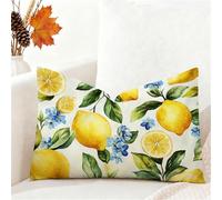 Funda Cojin 40x80 cm Beige Funda Almohada Juego De 1 Fundas Cojines Limón Terciopelo Cojines Rectangulares con Cremallera Invisible, Decorativos Navideña Jardín Sala de Estar Sofá Dormitorio 1h-463