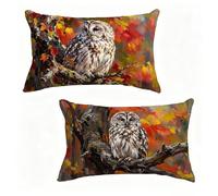 Funda Cojín 40x80 cm Juego de 2 OtoñO, Funda De Almohada 40 x 80 cm Cojine Exterio BúHo Decoracion Cojines Sofa Lino con Cremallera Oculta para Primavera Verano Decorativos, Regalos Mujeres 6-K66R14