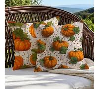 Funda Cojin 45x45 Calabaza Cojines Exterior Lino Naranja Fundas para Almohadas con Cremallera Oculta, Cojines Decorativos Sofá Silla Patio Jardín Terraza Otoño, Regalos Mujeres, Juego de 2 1B-303