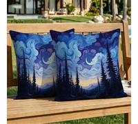 Funda Cojin 45x45 cm Azul Funda Cojines Exterior Impermeable Terciopelo cielo estrellado Almohadas Decorativos Sofá, Doble Cara Impresa para Salón Cama Silla Oficina Habitacion Lumbar Pack de 2 dj-597