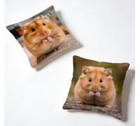 Funda Cojín 50 x 50 Juego de 2 HáMster, Funda De Almohada 50x50 cm Cojine Exterio Animal Decoracion Cojines Sofa Lino con Cremallera Oculta para Primavera Verano Decorativos, Regalos Mujeres 2-G77654