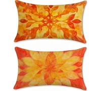Funda Cojin 50x80cm Cojines Exterior Impermeable Naranja Quemado Funda Almohada Terciopelo Cojines para Sofa Cama Abstracto Protector Decorativos Jardin Salon Outdoor Cushions Juego de 2 u-13449