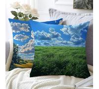 Funda Cojin 60x60cm Juego De 2 Suave Material De Lino Suave Transpirable Impermeable Nube Cojines Cama Decorativos,Paisaje Fundas Cojines Sofa Con Cremallera Invisible Para Salon Exterior Silla A1-471