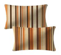 Funda Cojin 60x80 cm Otoño Fundas Cojines A rayas Funda Almohada Juego De 2 Terciopelo Cojines Exterior con Cremallera Invisible Cushion Covers para Decorativos Jardín Camping Patio Terraza Sofá 2m-51