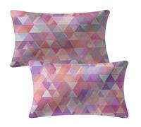 Funda Cojin 60x80 cm Rosa Fundas Cojines Geométrico Funda Almohada Juego De 2 Terciopelo Cojines Exterior con Cremallera Invisible Cushion Covers para Decorativos Jardín Camping Terraza Sofá 2m-23