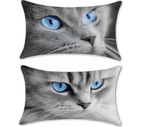 Funda Cojin 60x90cm Cojines Exterior Impermeable Gris Funda Almohada Lino Cojines para Sofa Cama Gato Protector Decorativos Jardin Salon Outdoor Cushions Juego de 2 Rectangular con Cremallera u-13213