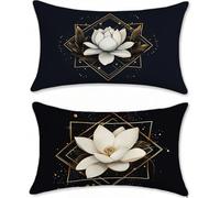 Funda Cojin 60x90cm Cojines Exterior Impermeable Negro Funda Almohada Lino Cojines para Sofa Cama Loto Protector Decorativos Jardin Salon Outdoor Cushions Juego de 2 Rectangular con Cremallera u-14334