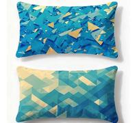 Funda Cojin 60x90cm Juego de 2 Fundas de Cojines Azul Cojines Sofa Geometría,2026 Nuevo Rectangulares Terciopelo Impresión a Doble Cara Funda Almohada para Dormitorio Hogar Habitacion Decor O-420U