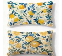Funda Cojin 60x90cm Juego de 2 Fundas de Cojines Color Naranja Cojines Sofa Limón,2026 Nuevo Rectangulares Terciopelo Impresión a Doble Cara Funda Almohada para Dormitorio Habitacion Decor O-752U