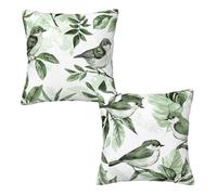 Funda Cojin 65x65 cm Verde, Terciopelo Funda Cojines Sofa Juego de 2, Cojines Decorativos para Sofa Impermeable, Pillow Case Impresión a Doble Cara para Decoracion Hogar, Sala de Estar (Pájaro) H-58