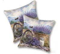 Funda Cojines 2 Piezas 40x40cm Juego Fundas Cojín Suave Terciopelo Cremallera Oculta, Almohada Decorativa Exterior Sofá, Cama, Sala Estar, Dormitorio, Hogar, Oficina, Lavanda para Bicicletas, E-1010
