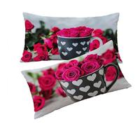 Funda Cojines Burdeos Fundas Cojin 50x70cm Rosa Cojines Sofa, Terciopelo Funda Cojin Decorativos Juego de 2 Piezas con Cremallera Invisible Suave Cómodo Lavable Mano para Dormitorio Cama Sofá T0T999