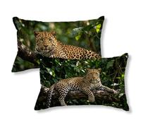 Funda Cojines Exterior Impermeable 40x70 Cojines Animal Pack 2, Cod404