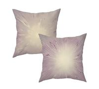 Funda Cojines Exterior Impermeable, Funda Cojin 65x65 Juego de 2, Cuadrado Sofá Decorativo Fundas de Cojines Púrpura Fundas de Almohada Decorativas Lino para Exterior Balcón Terraza (Simple) Q-22