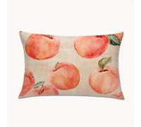Funda Cojines Fruta 60 x 80 cm Grande Funda Almohada para Sofa con Cremallera Oculta, Abstracto Terciopelo Protector Almohada para Sala de Estar, Dormitorio, Pillow Case para Navideño 2Y-246