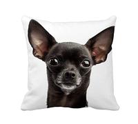 Funda De Almohada 45X45cm, Perro Rojo Divertido Chihuahua Negro Animal Retrato Cara Cabeza Decorativa Almohadas Fundas Impreso Funda De Almohada para Decoración Oficina Hogar