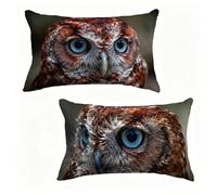 Funda de Almohada 50x60 cm Juego de 2 BúHo, Funda Cojín 50 x 60 cm, Cojines Cama PáJaro Decoracion Cushion Covers Lino Impresión HD a Doble Cara para Verano Jardin Decoracion Hogar Regalo W-K30NJW