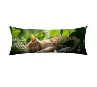 Funda de Almohada 60x160 cm animal Rectangular Funda Almohada con Cremallera Invisible, Lino Cojines Sofa, Súper Comodidad y Transpirable gato Fundas Cojines para Dormitorios Todas Las Camas 0E-209