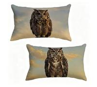 Funda de Almohada 60x90 cm Juego de 2 Sunset, Funda Cojín 60 x 90 cm, Cojines Cama BúHo Decoracion Cushion Covers Lino Impresión HD a Doble Cara para Verano Jardin Decoracion Hogar Regalo 2-981KVG