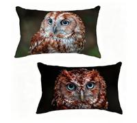 Funda de Almohada 70x90 cm Juego de 2 BúHo, Funda Cojín 70 x 90 cm, Cojines Cama PáJaro Decoracion Cushion Covers Lino Impresión HD a Doble Cara para Verano Jardin Decoracion Hogar Regalo 9-629806