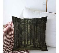 Funda De Almohada Ambiente Ambiente Filtrado Tono Primavera Niebla Desaturada Bruma Bosque Parques Luz del Sol Funda Almohadas Premium Throw Pillow Case 45X45 CM